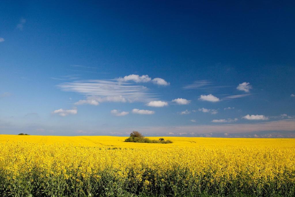 Ferienwohnungen Familie Glasner Остзебад Бинц Номер фото